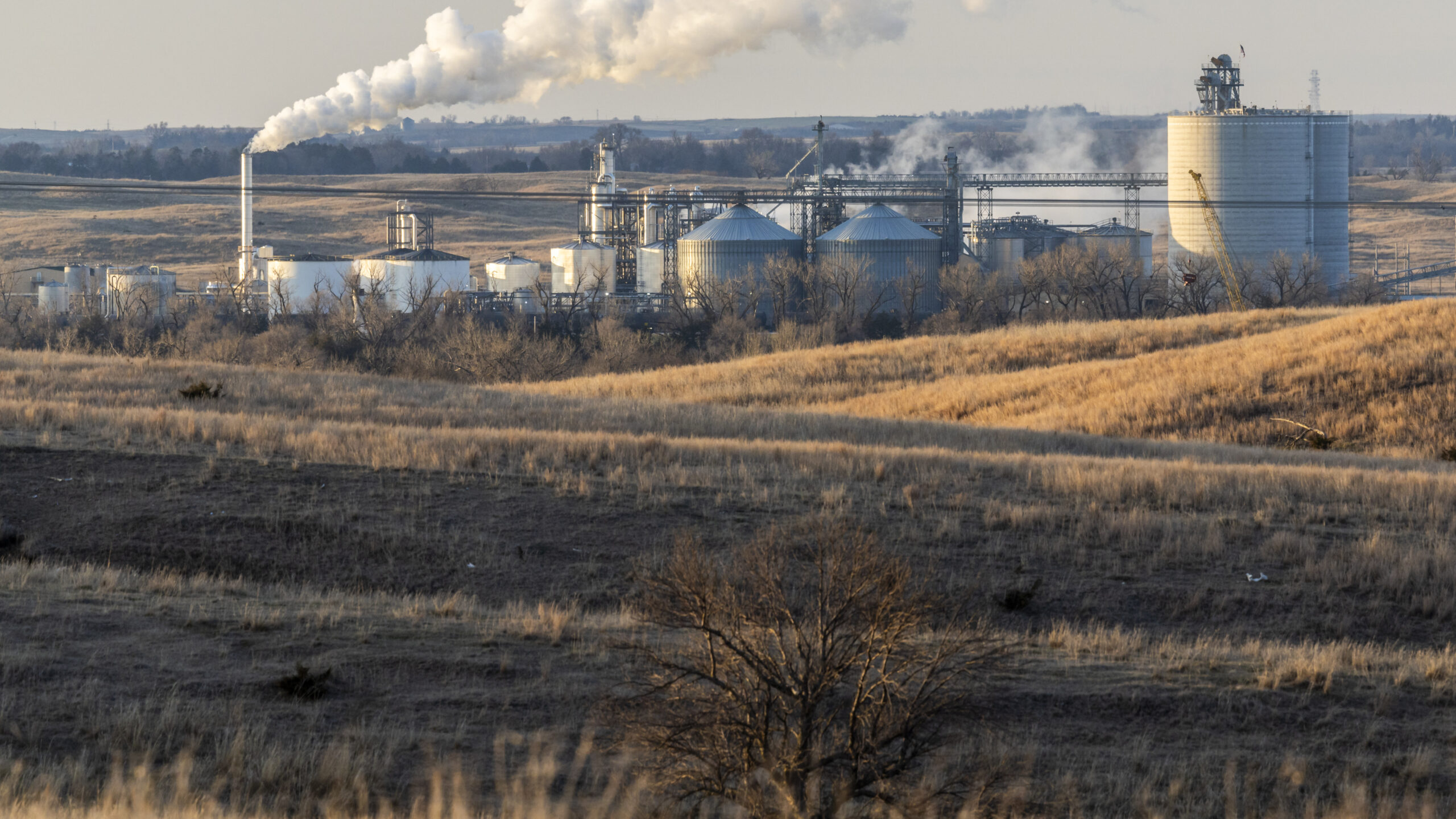GettyImages 2166100083 2560x1440 - La politique des biocarburants a été un échec pour le climat, réclame le nouveau rapport